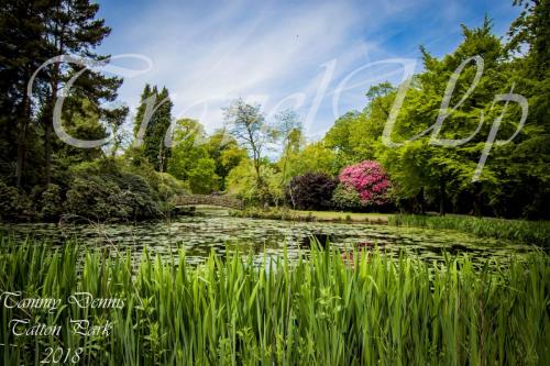 Tatton Park