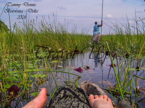 Okavango Delta Botswana 