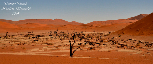 Sossusvlei Namibia